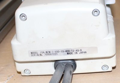 osy 005.JPG