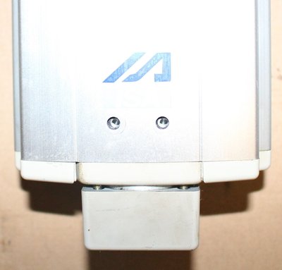 osy 006.JPG