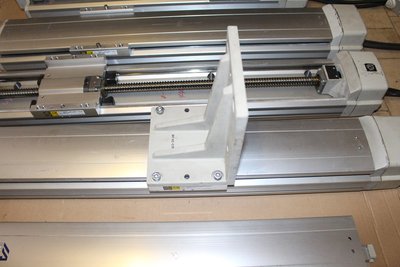 osy 003.JPG