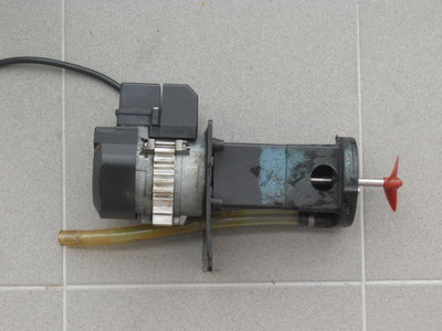 DSCN3618.JPG
