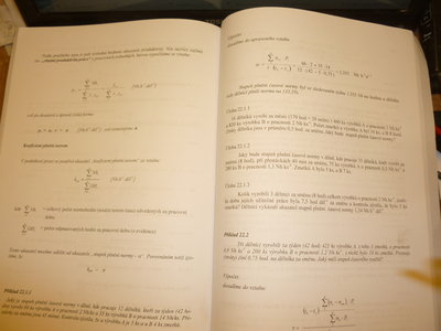 P1030578.JPG