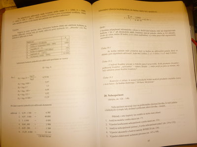 P1030579.JPG