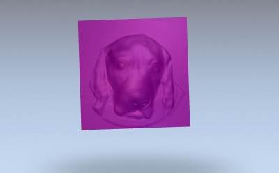 dog2.jpg