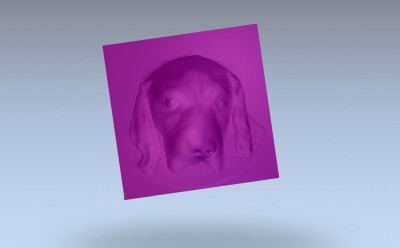 dog1.jpg