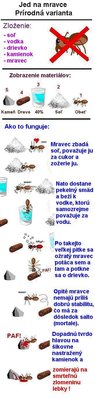 mravenci likvidace.jpg
