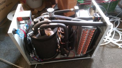 IMG_20160728_165554.jpg