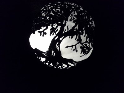 13782118_1173104482711414_4755542770837127377_n.jpg