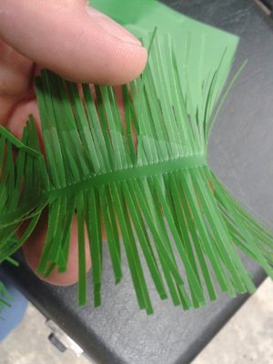 20160914_204411.jpg