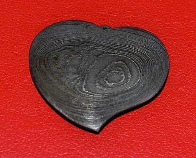 DSC_0863.JPG