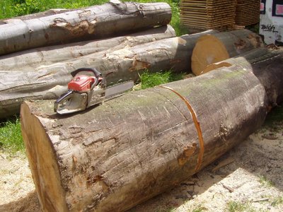 zaklad palicky.jpg (583.12 KiB) Zobrazeno 12887 x zaklad palicky.jpg