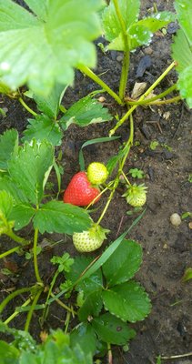 IMG-20180512-WA0026.jpeg
