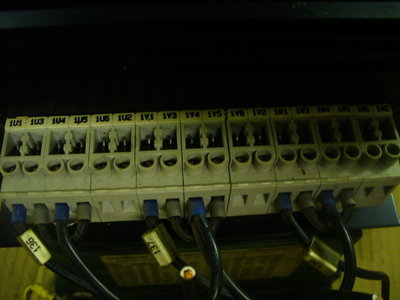 eutif 005.JPG